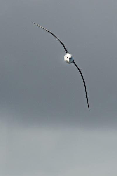 Slicing through the wind