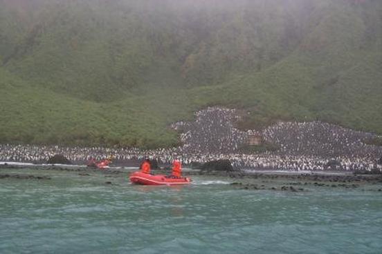 Lusitania Bay Hut, Macquarie Island, 2000
