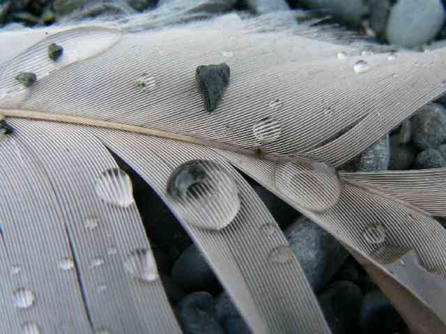 P1020238