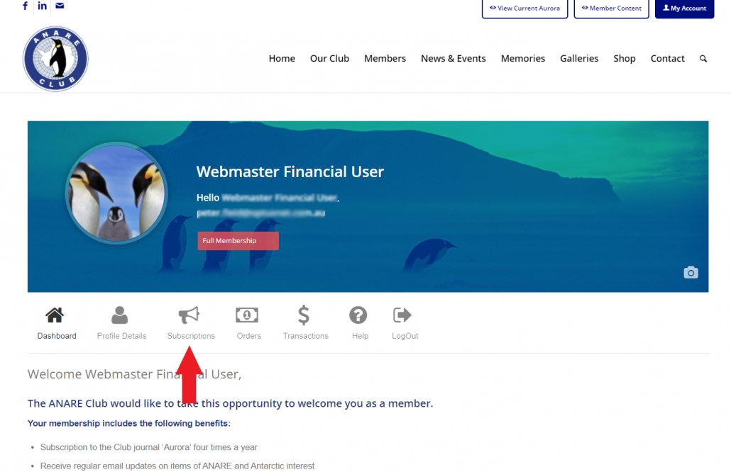 Profile-Dashboard-Arrow-1030x666-1