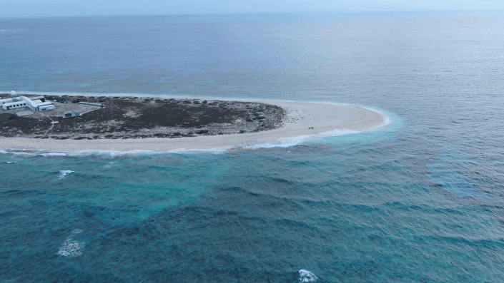 Albert Petersen Aerial 2