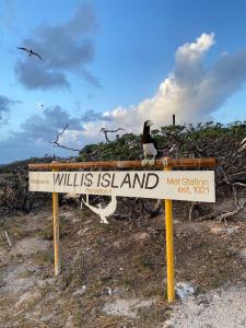 Hana Glencross Willis Sign