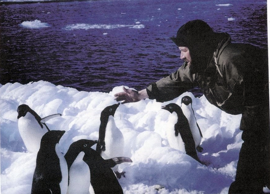 Stan Murcutt penguins