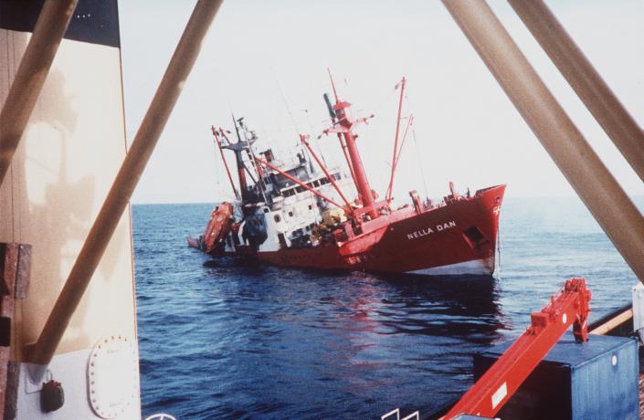 Nella Dan RS50557