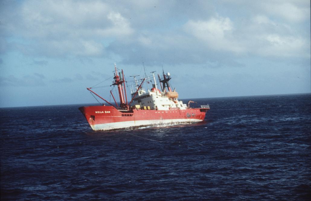 Nella Dan RS50564